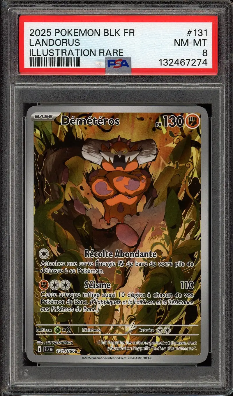 PSA 8 Démétéros