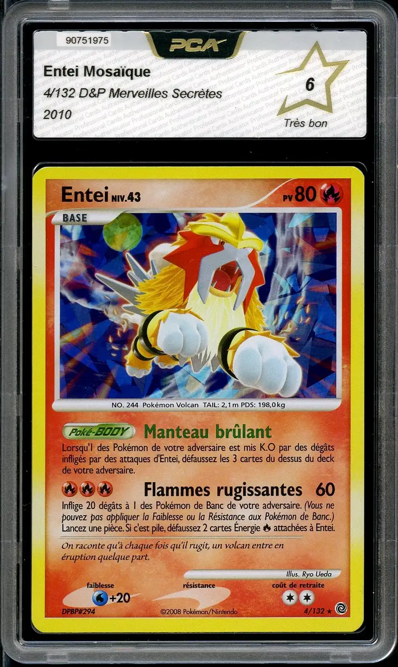 PCA 6 Entei Holo Mosaïque