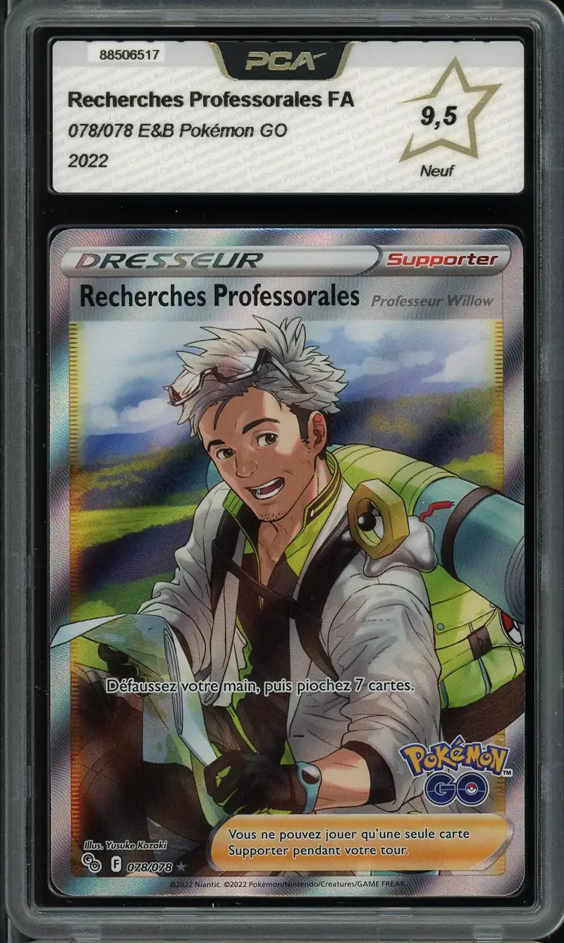 PCA 9.5 Recherches Professorales Professeur Willow