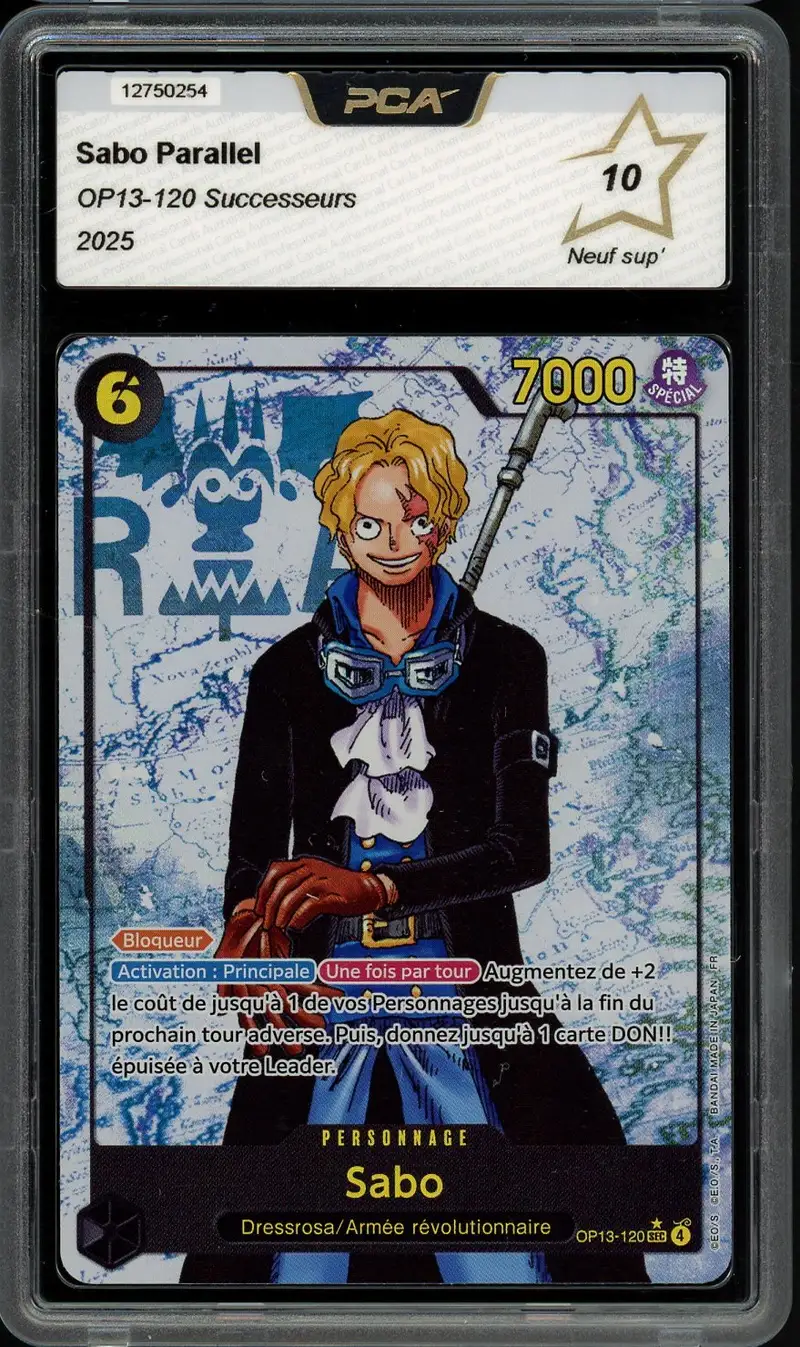 PCA 10 Sabo
