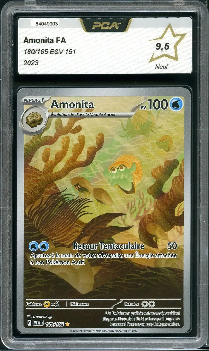 PCA 9.5 Amonita