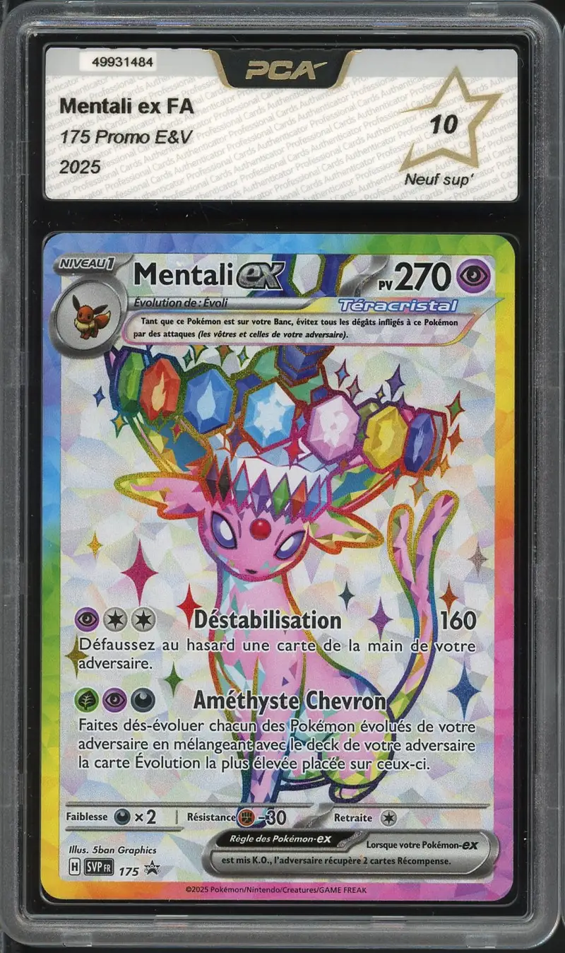 PCA 10 Mentali Ex