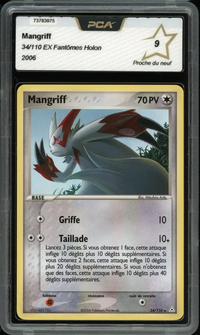 PCA 9 Mangriff
