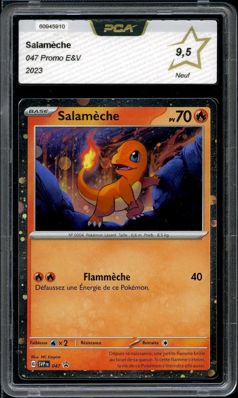 PCA 9.5 Salamèche Holo