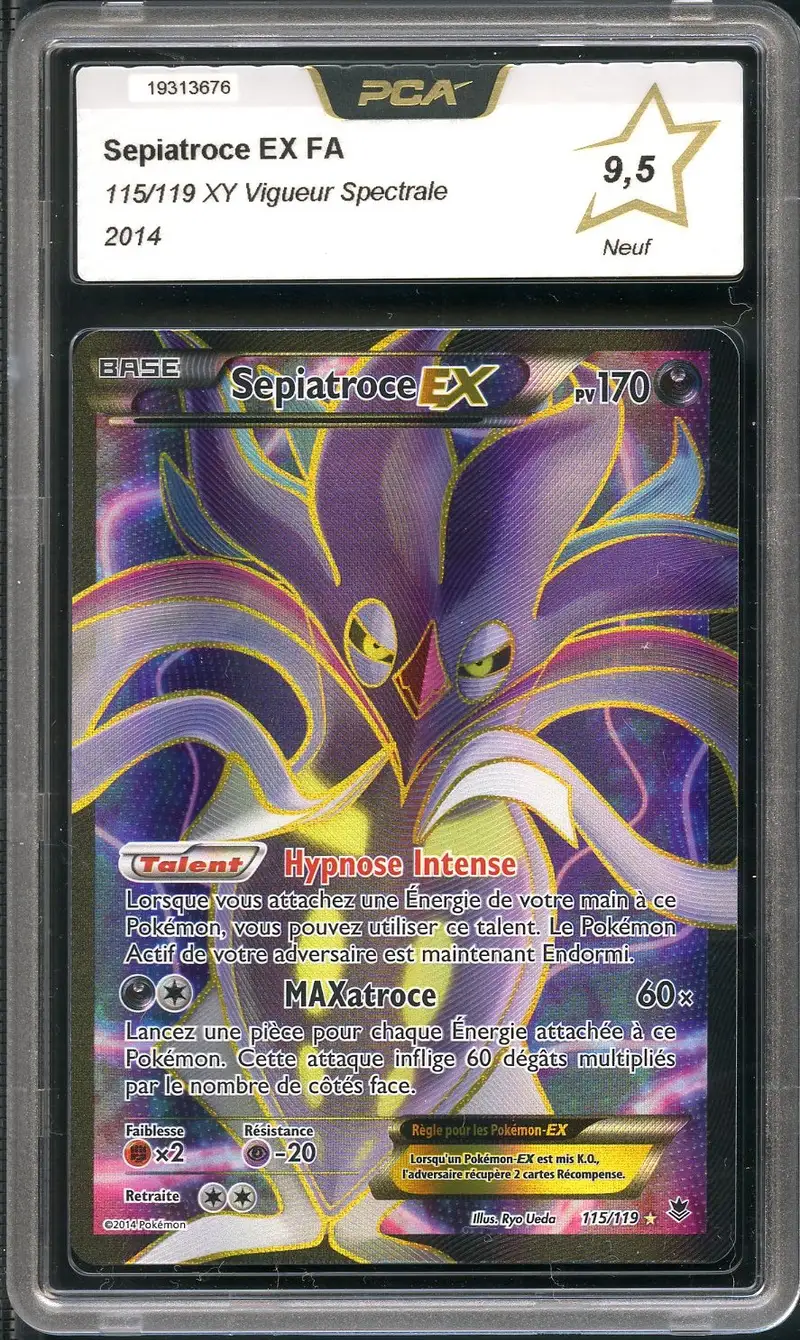 PCA 9.5 Sépiatroce Ex