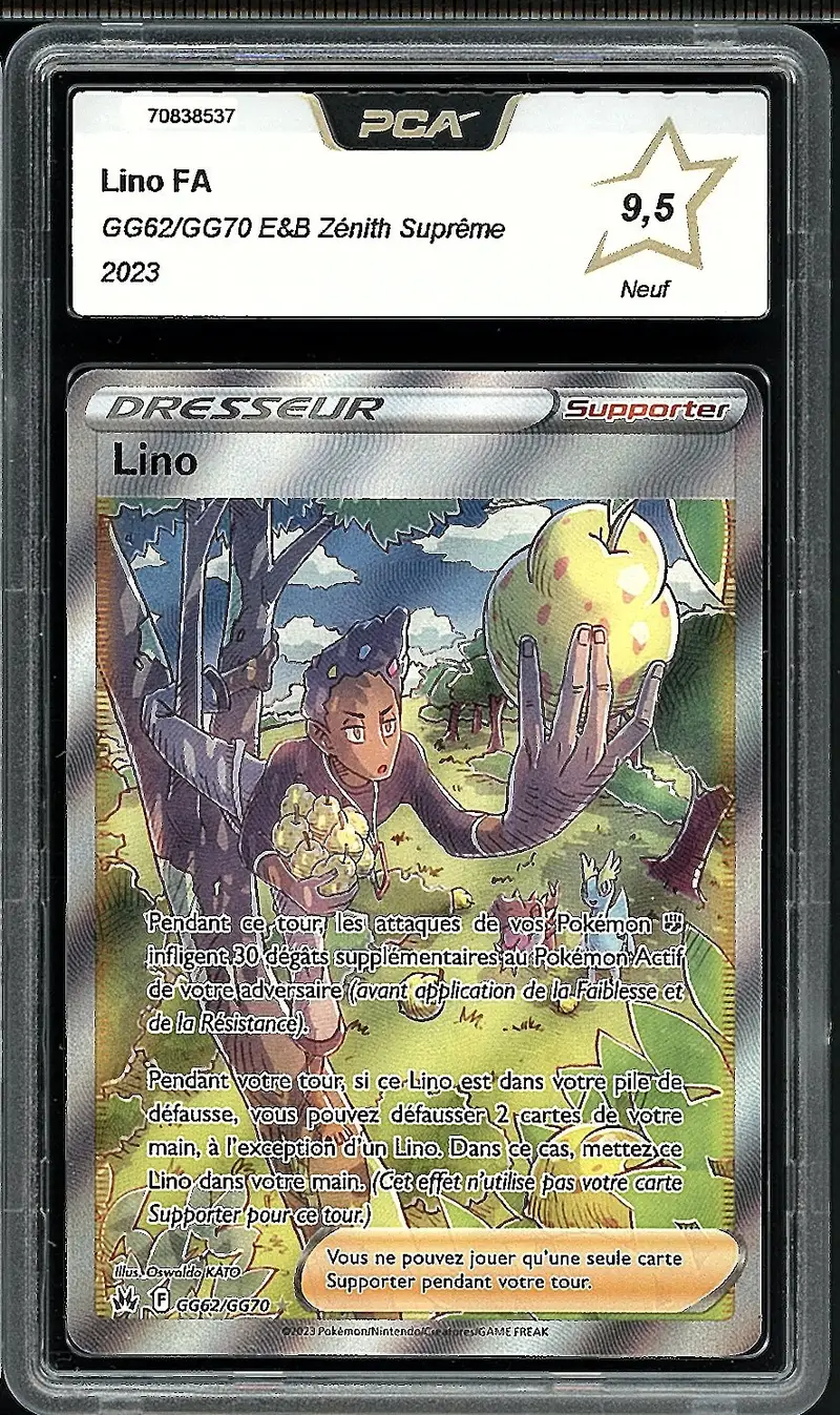 PCA 9.5 Lino