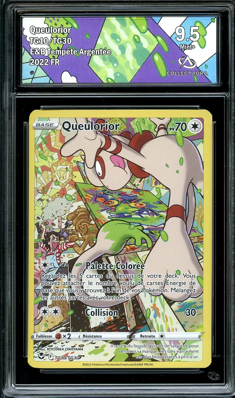 CA 9.5 Queulorior