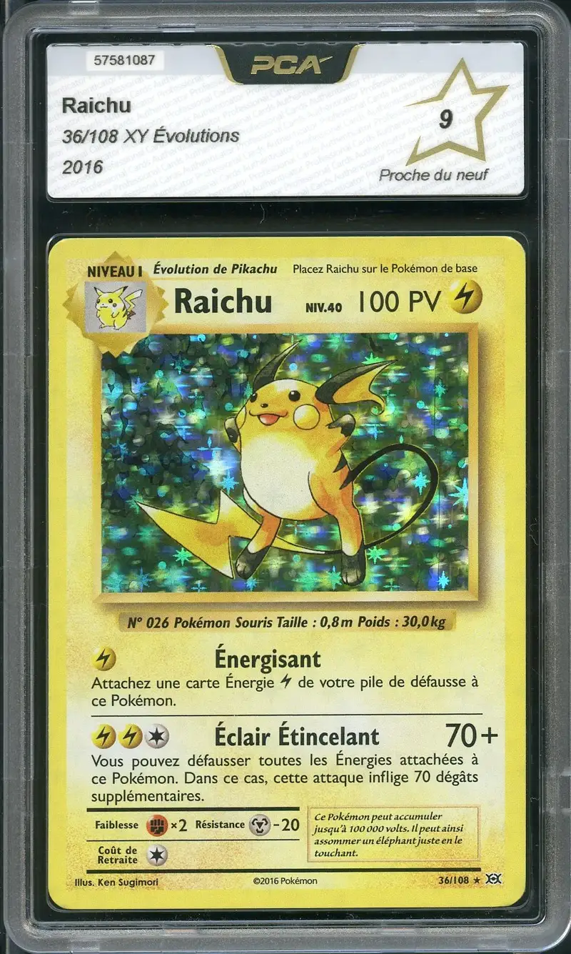 PCA 9 Raichu Holo