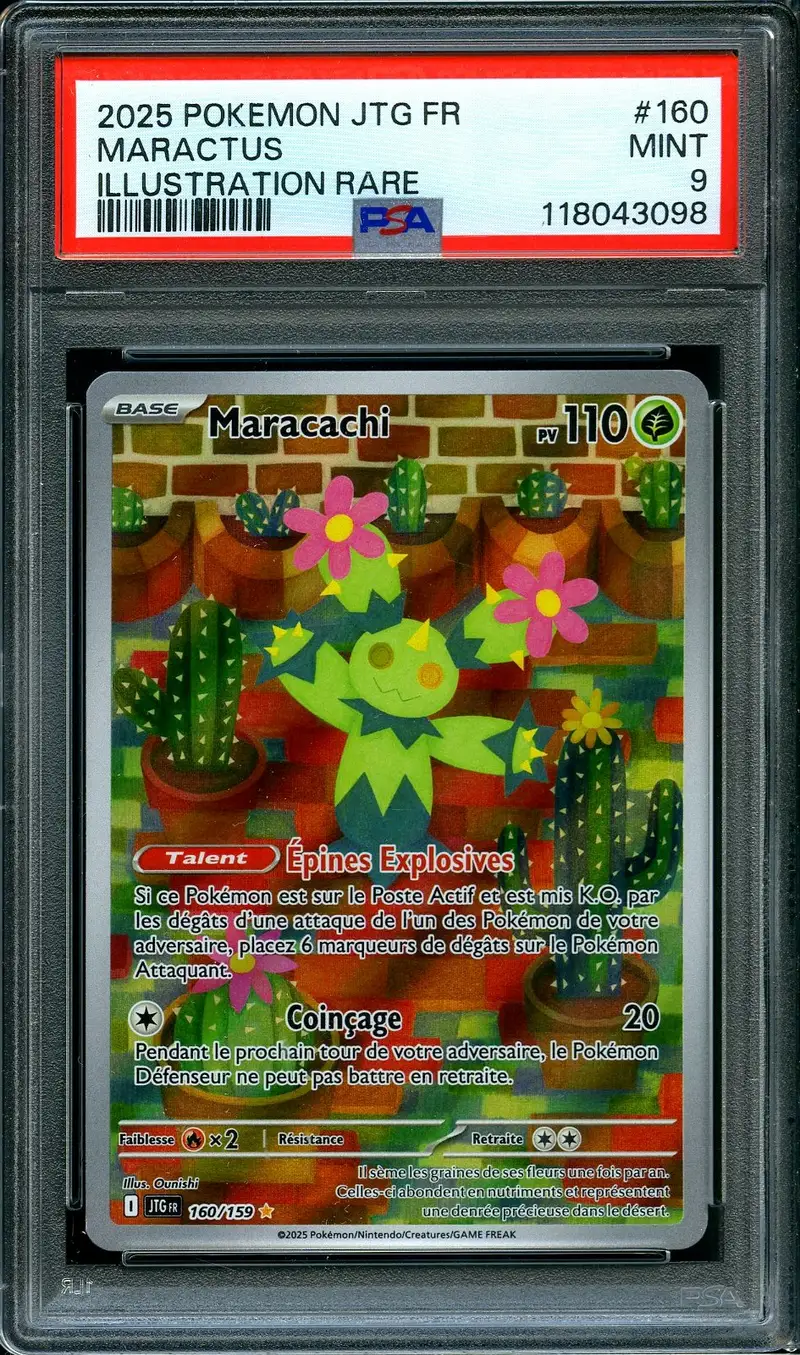 PSA 9 Maracachi