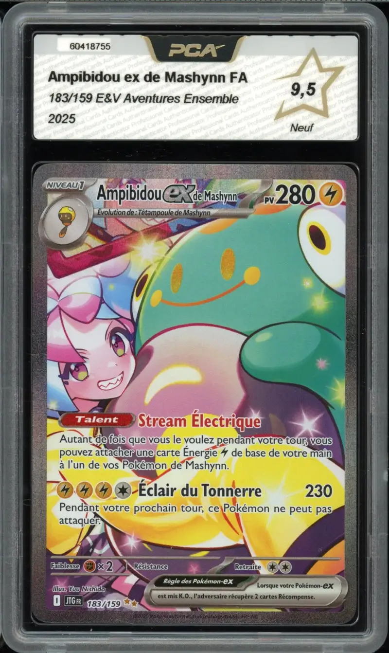 PCA 9.5 Ampibidou Ex de Mashynn