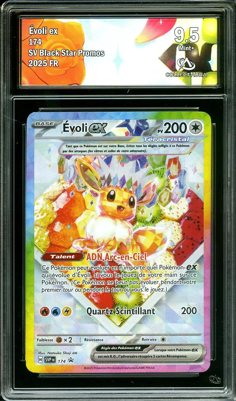 CA 9.5 Evoli Ex