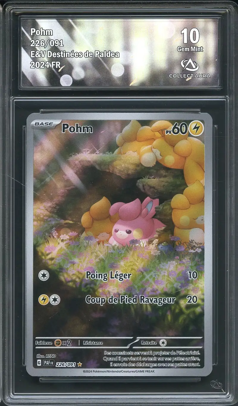 CA 10 Pohm
