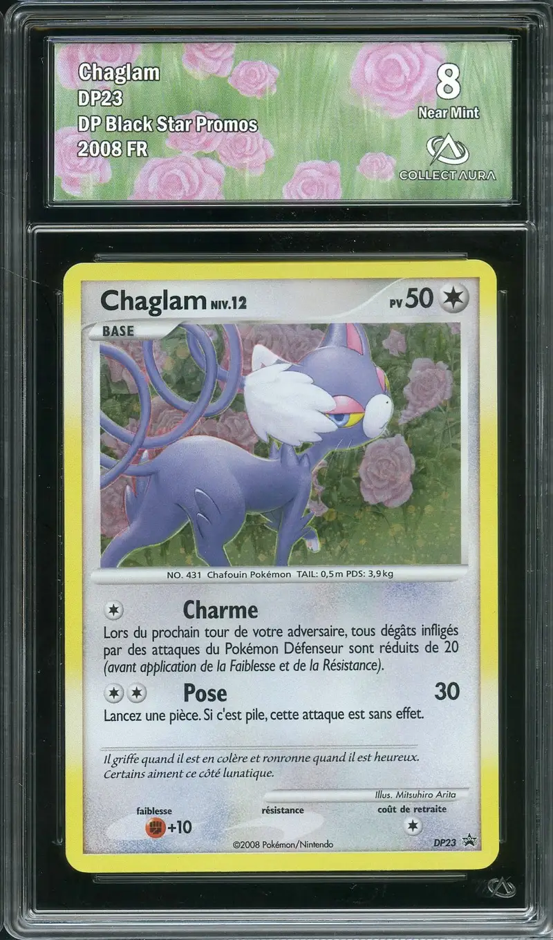 CA 8 Chaglam