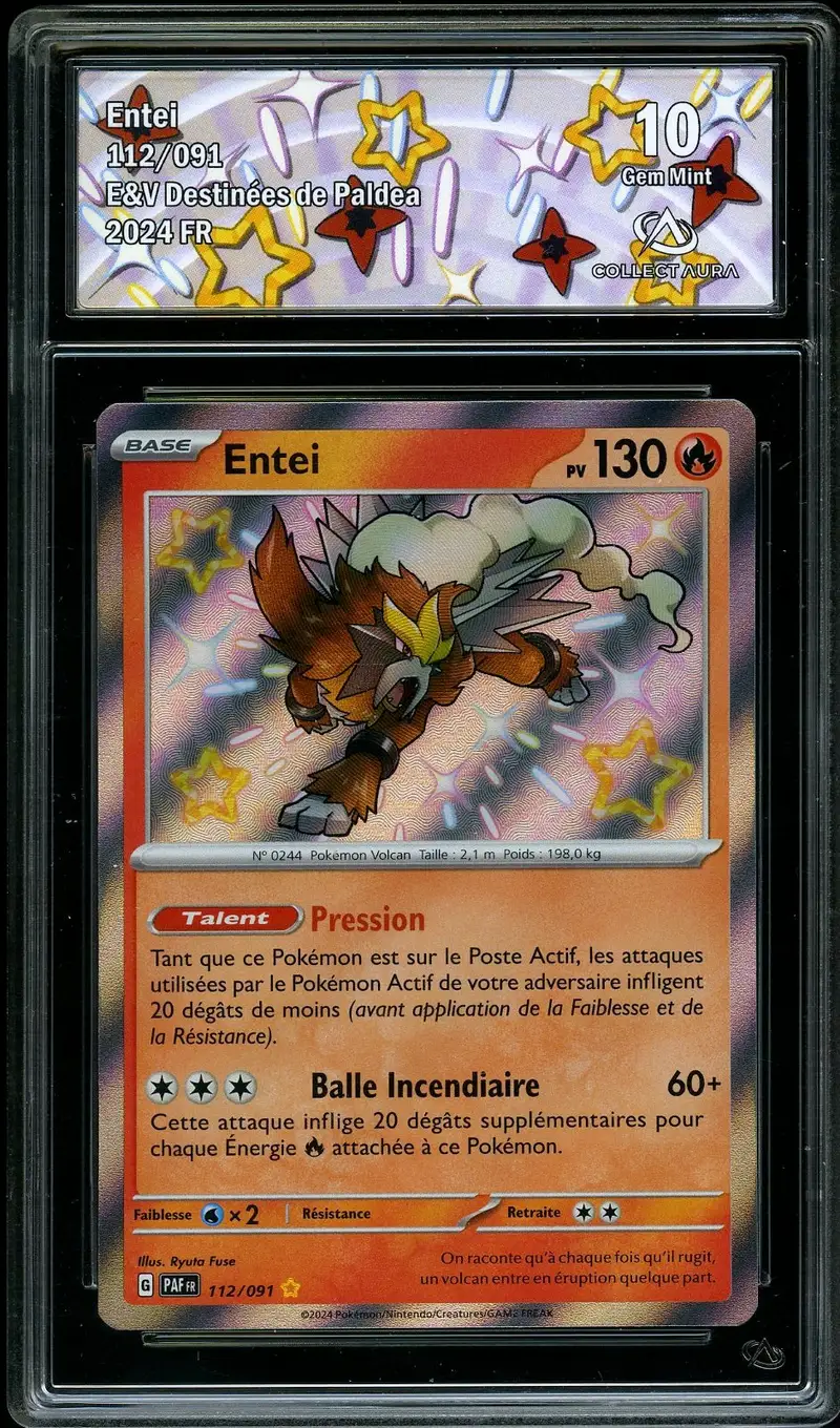 CA 10 Entei Shiny