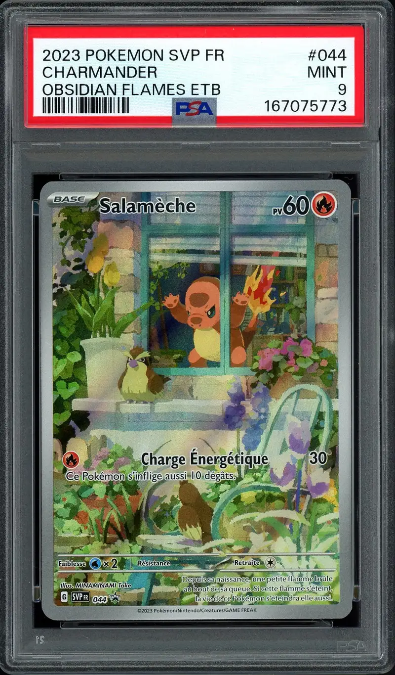 PSA 9 Salamèche