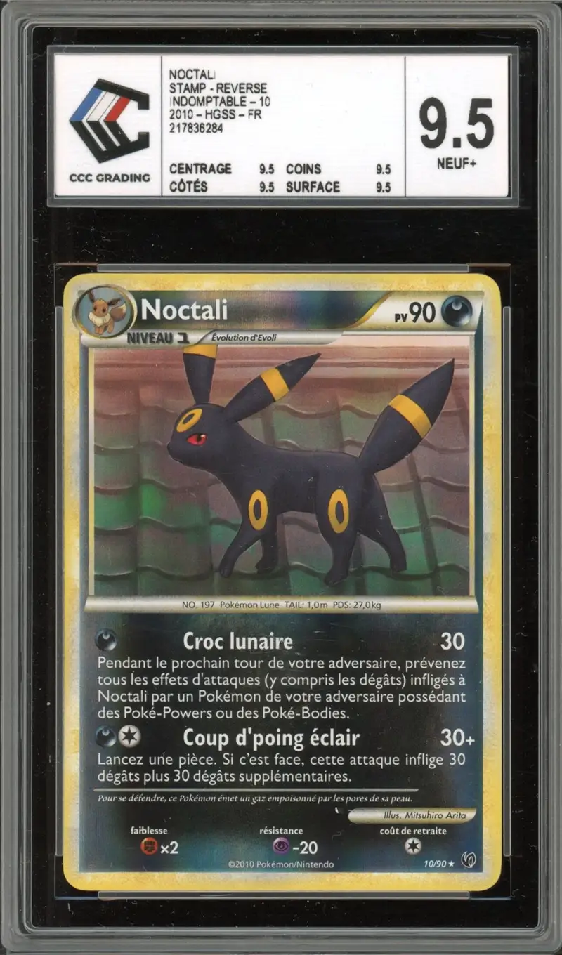 CCC 9.5 Noctali Reverse