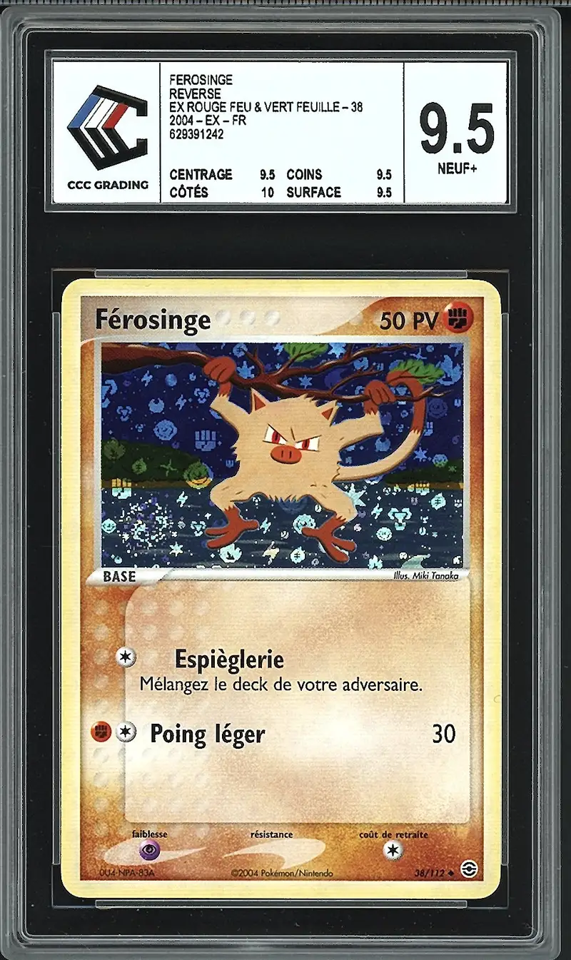 CCC 9.5 Férosinge Reverse