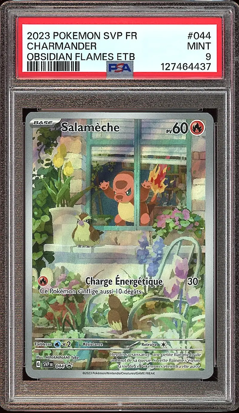 PSA 9 Salamèche