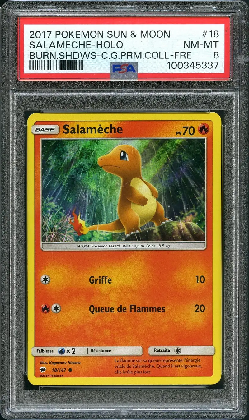 PSA 8 Salamèche Holo