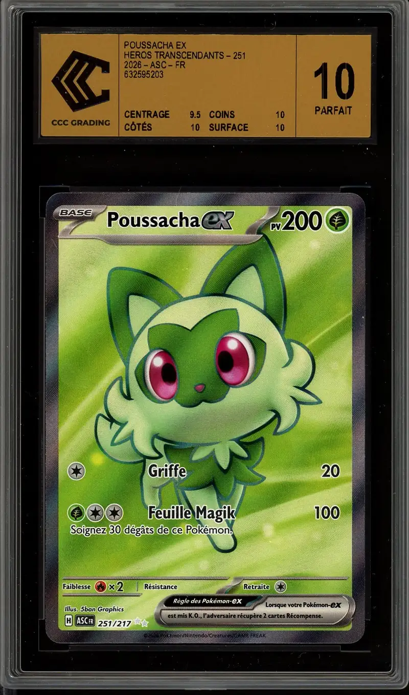 CCC 10 Poussacha Ex