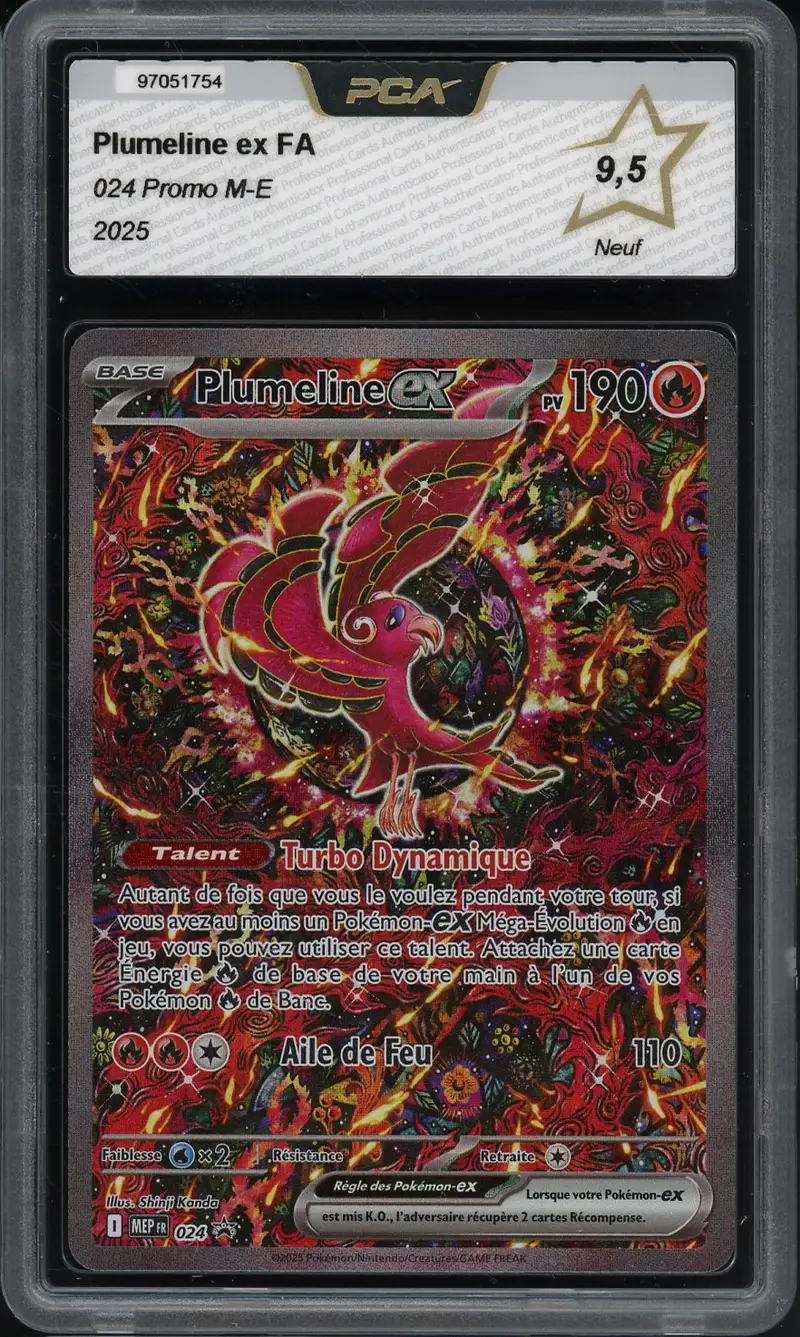 PCA 9.5 Plumeline Ex