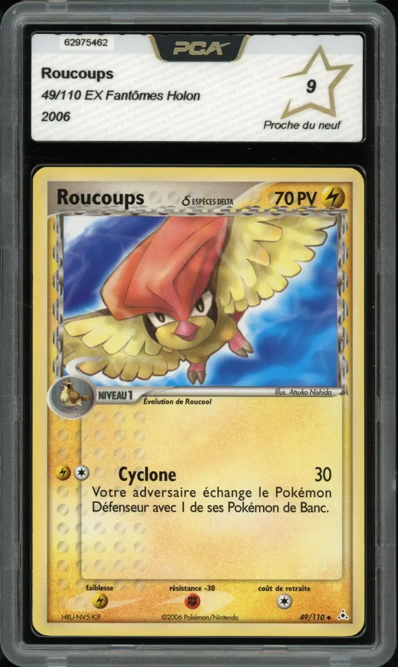 PCA 9 Roucoups