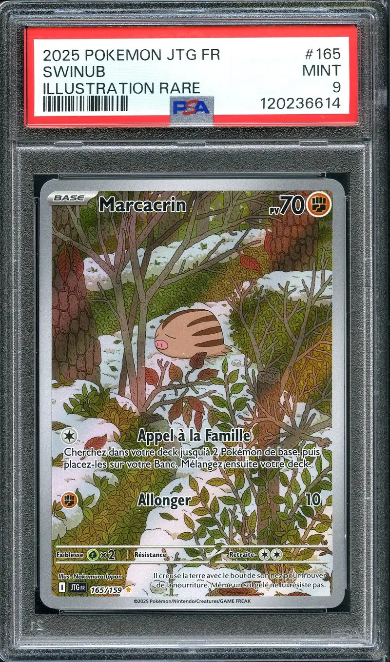 PSA 9 Marcacrin