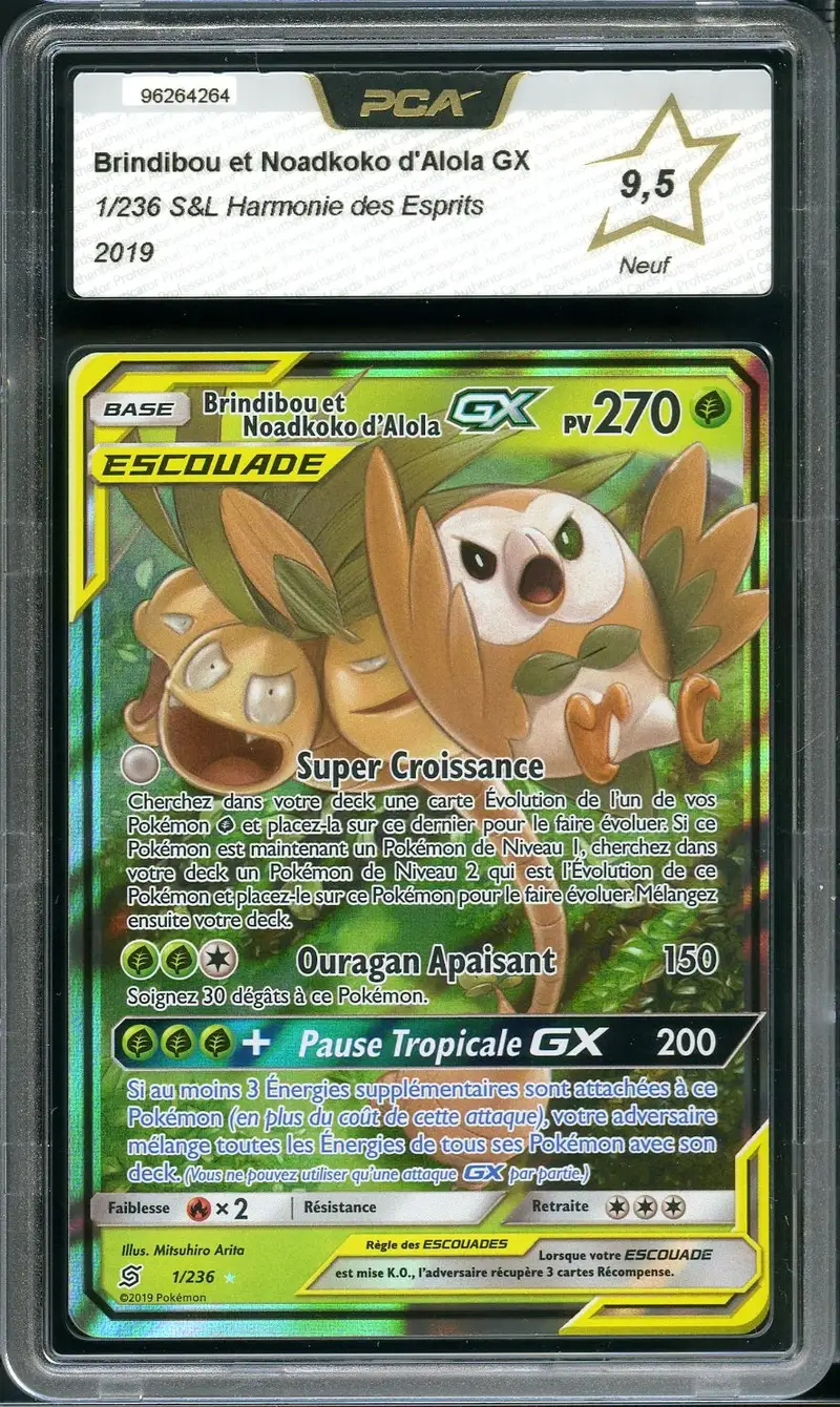 PCA 9.5 Brindibou et Noadkoko d’Alola Gx