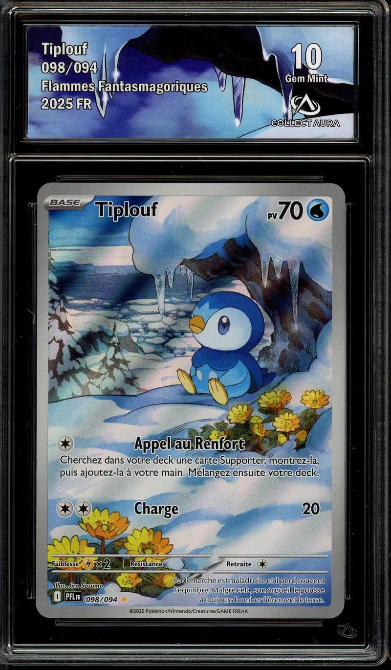 CA 10 Tiplouf