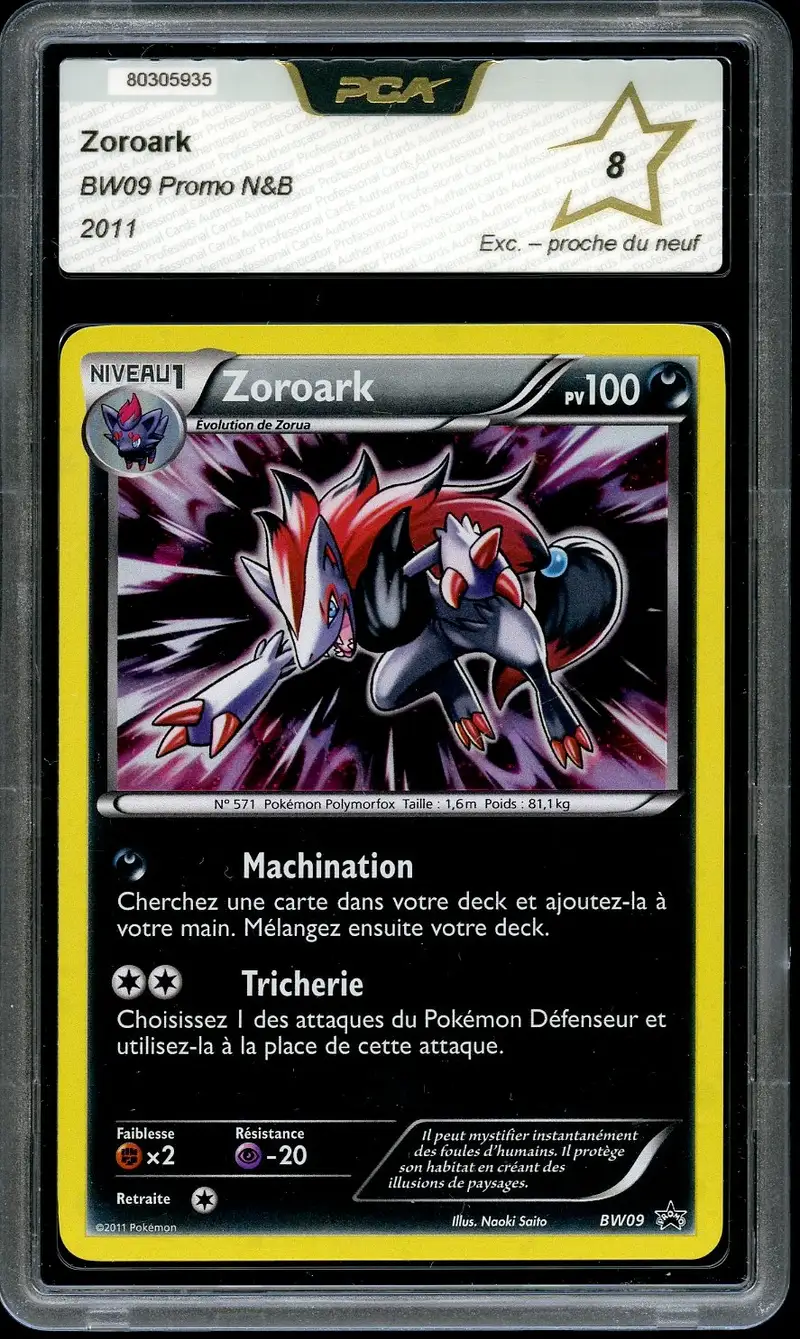 PCA 8 Zoroark Holo