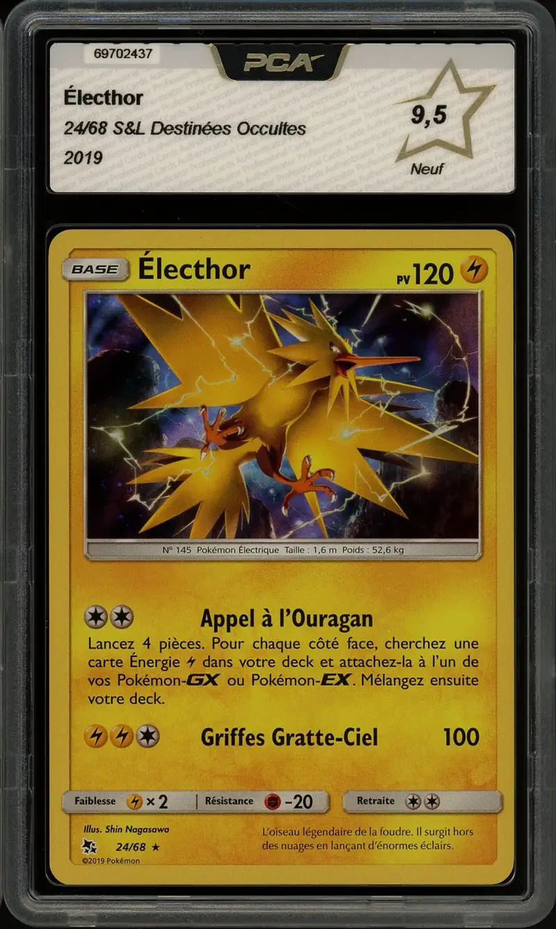 PCA 9.5 Electhor Holo