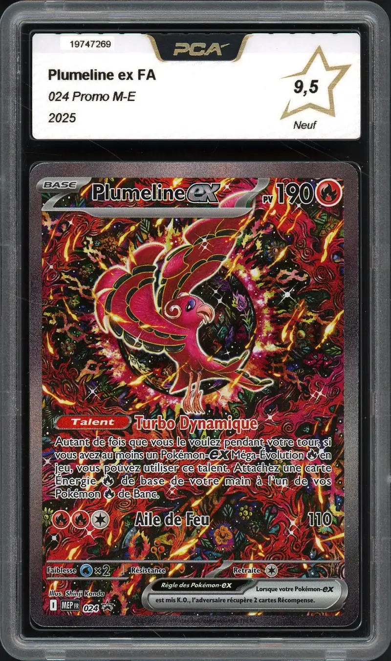 PCA 9.5 Plumeline Ex