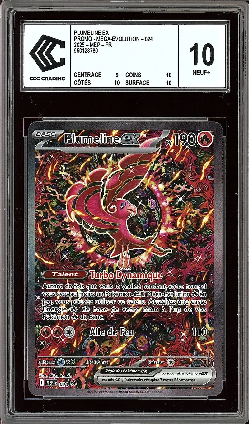 CCC 10 Plumeline Ex