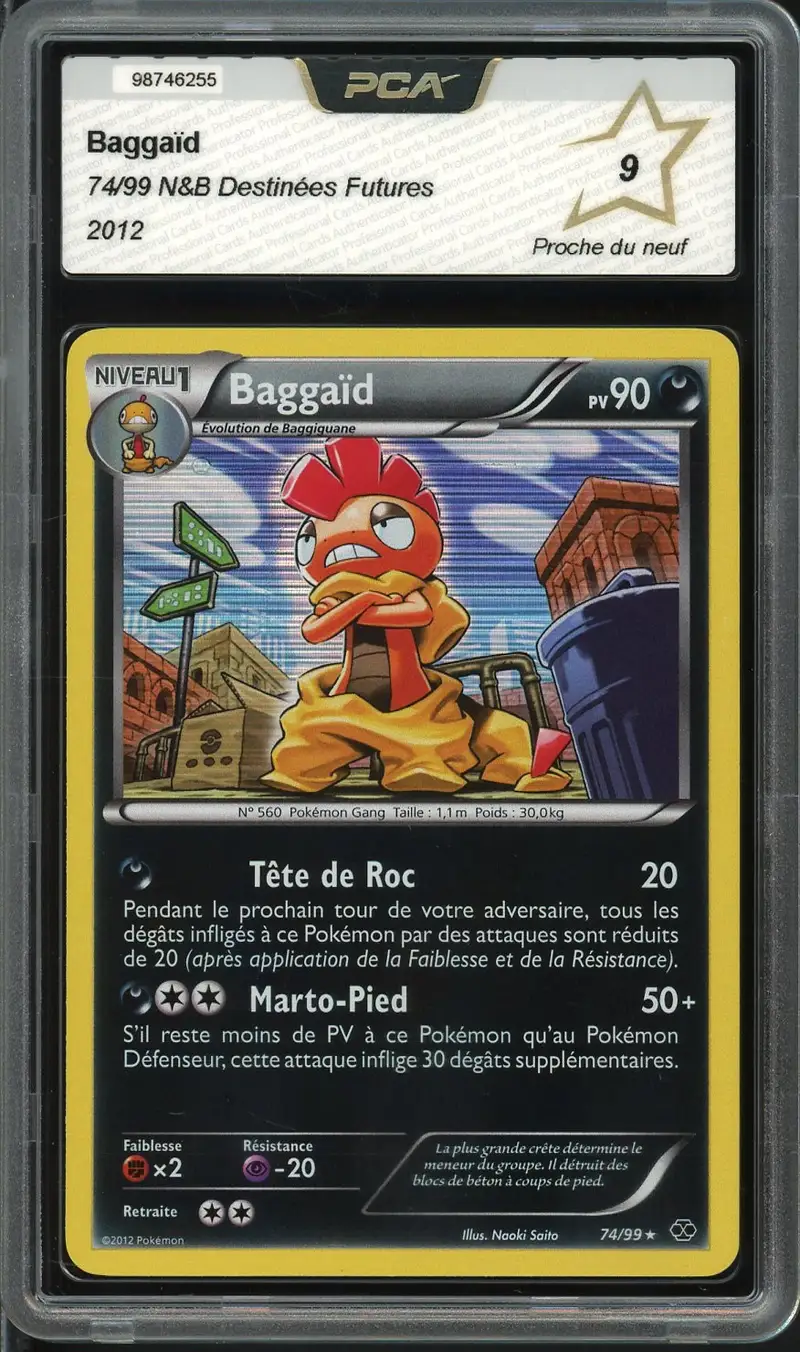 PCA 9 Baggaïd Holo