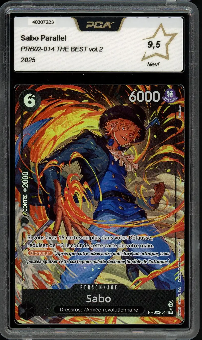 PCA 9.5 Sabo