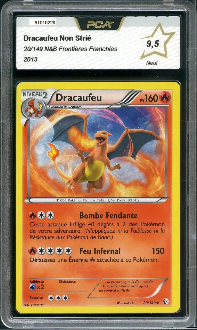 PCA 9.5 Dracaufeu Holo