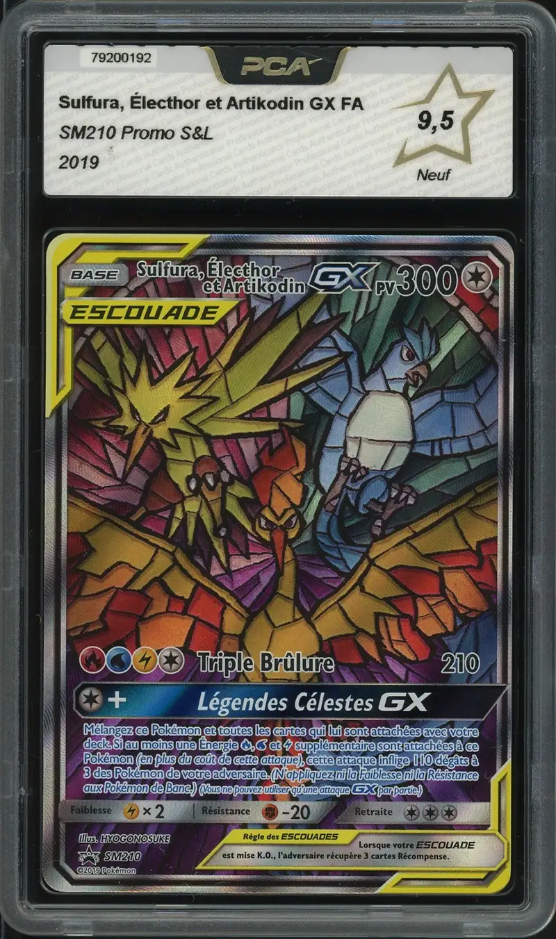 PCA 9.5 Sulfura, Électhor et Artikodin Gx