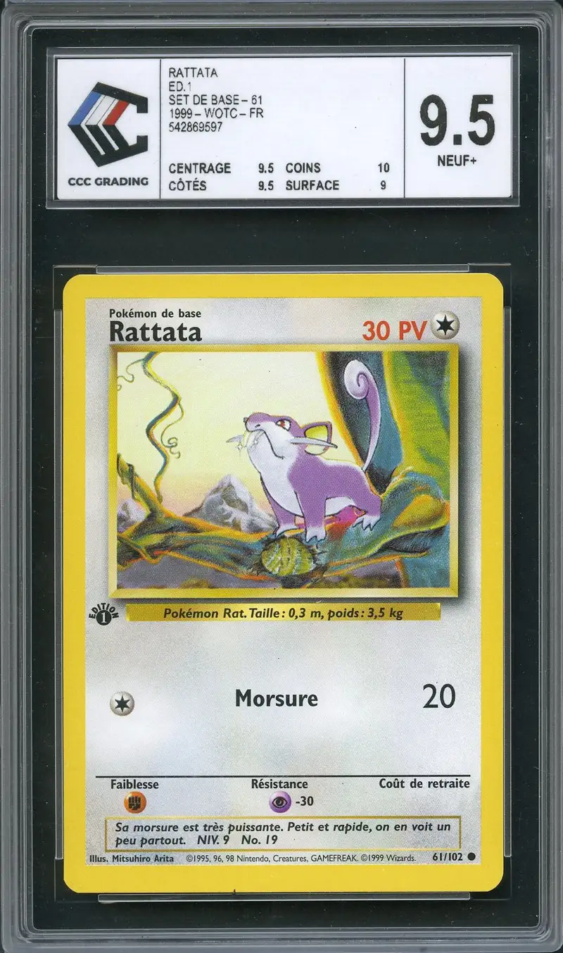 CCC 9.5 Rattata