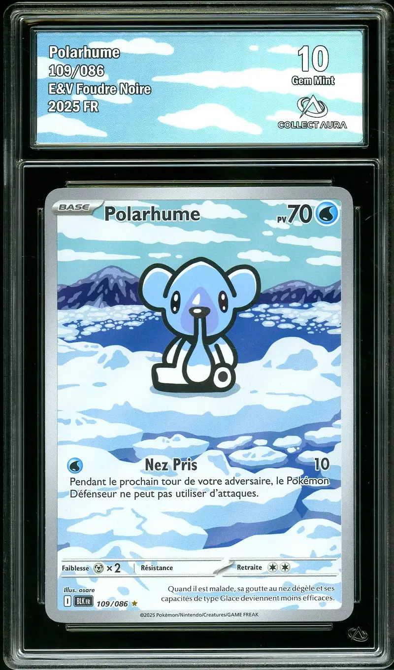 CA 10 Polarhume