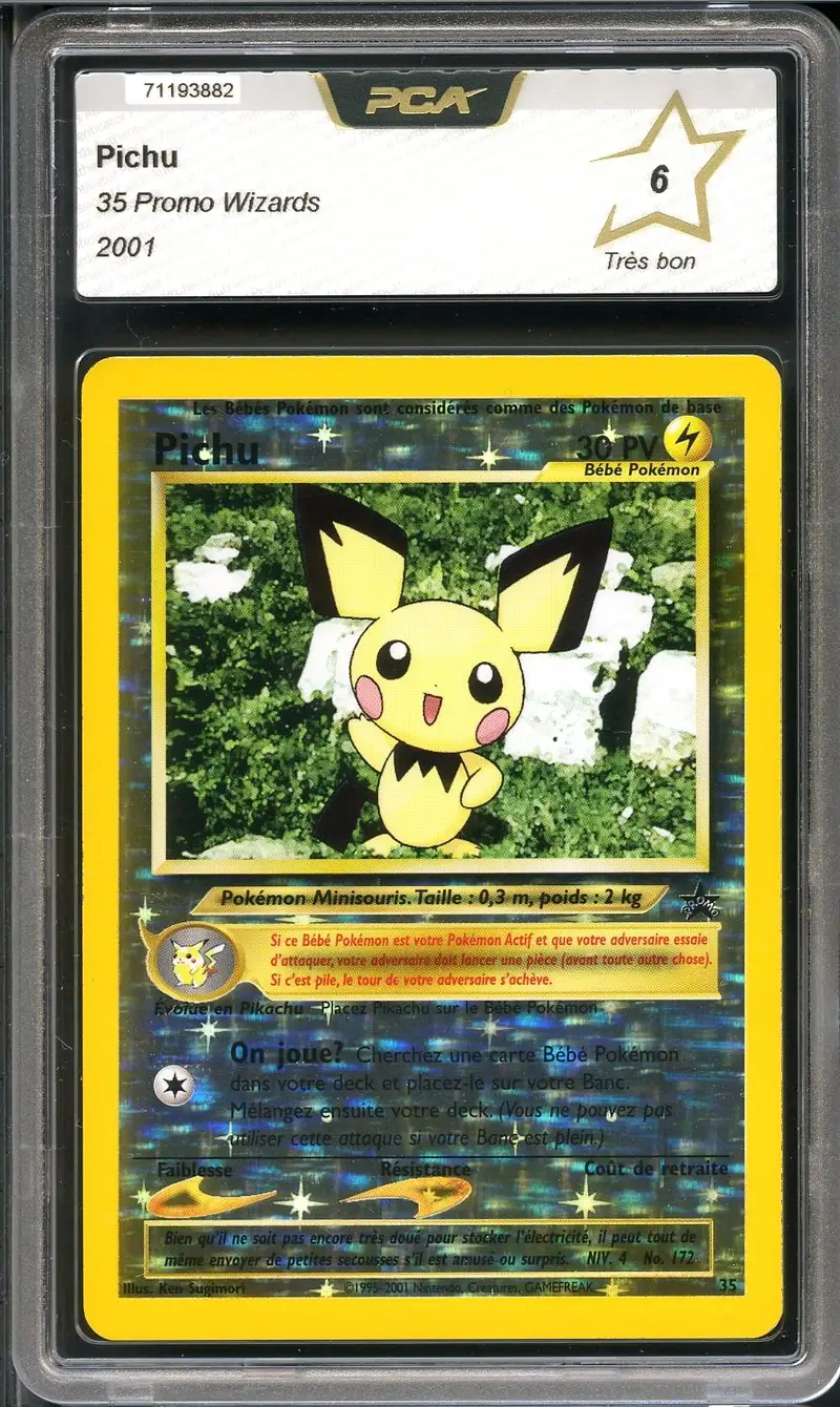 PCA 6 Pichu