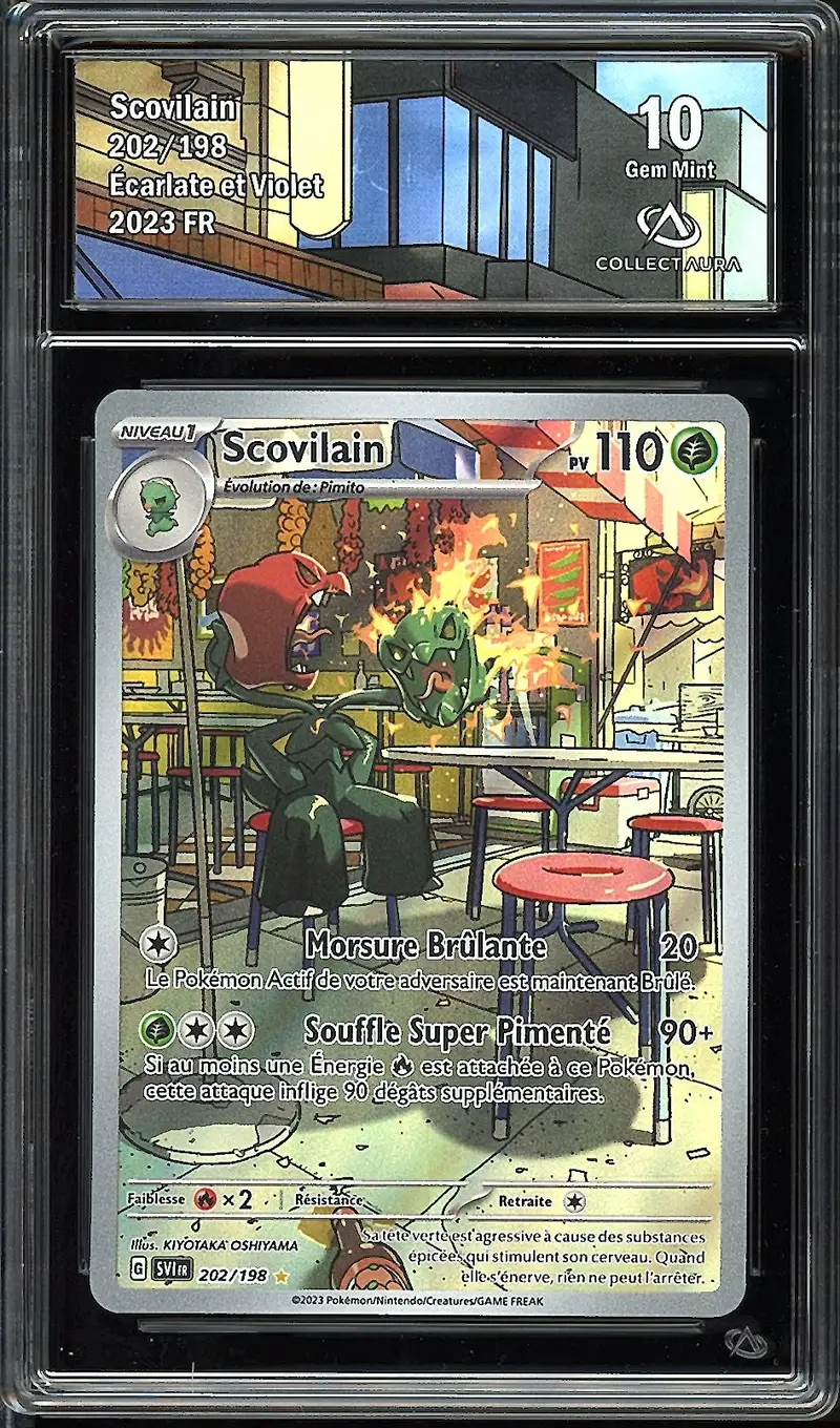 CA 10 Scovilain