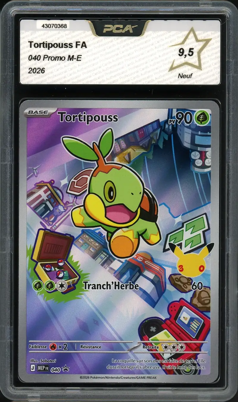 PCA 9.5 Tortipouss