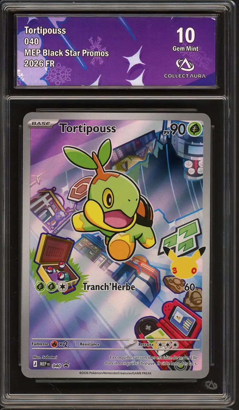 CA 10 Tortipouss