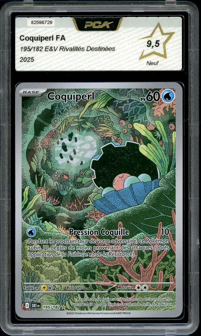 PCA 9.5 Coquiperl