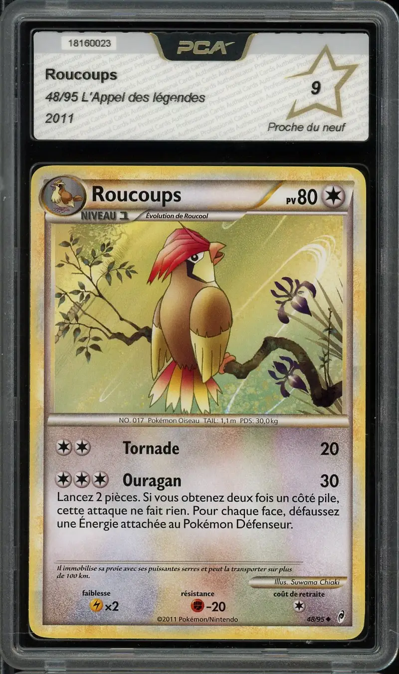 PCA 9 Roucoups