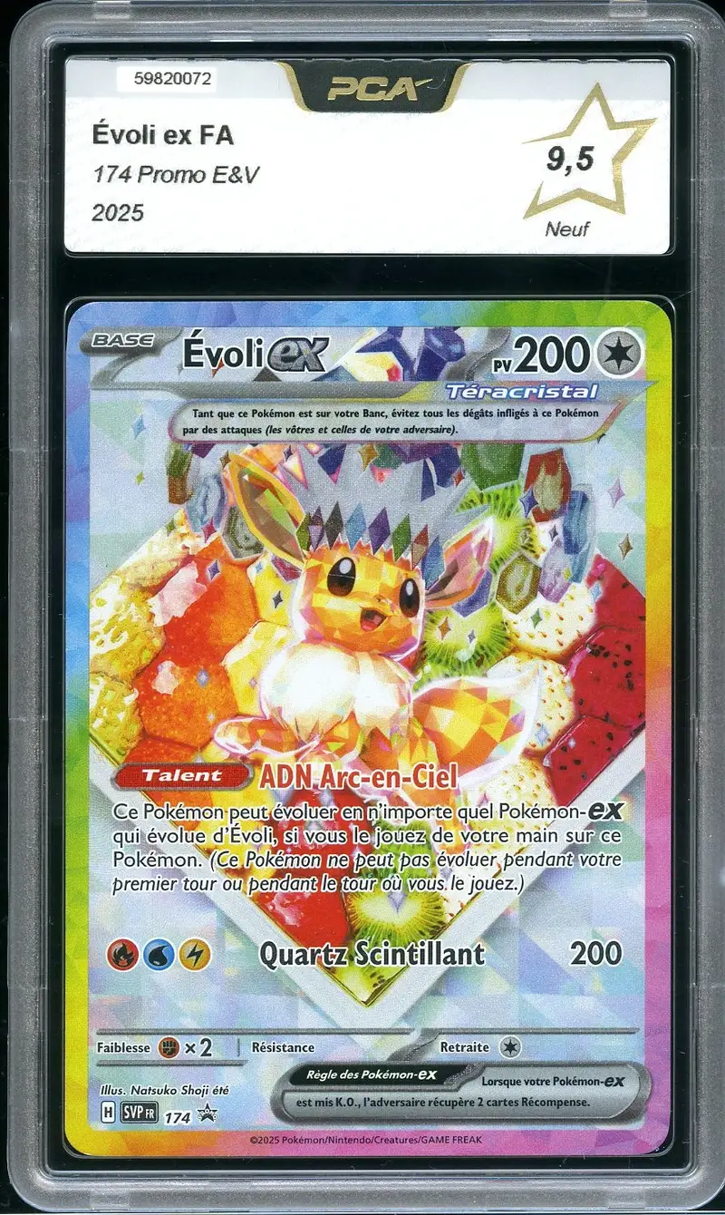 PCA 9.5 Evoli Ex