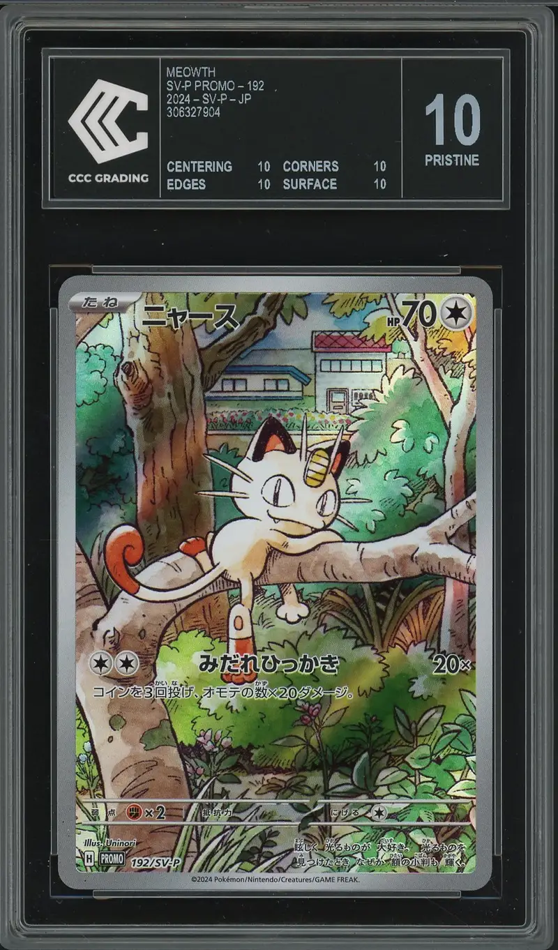 CCC 10 Meowth