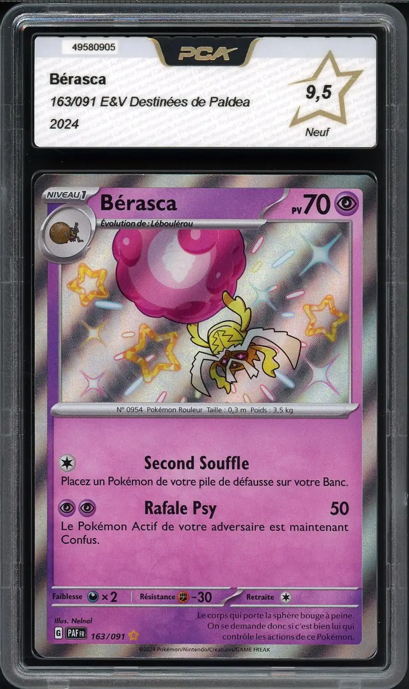 PCA 9.5 Bérasca Shiny