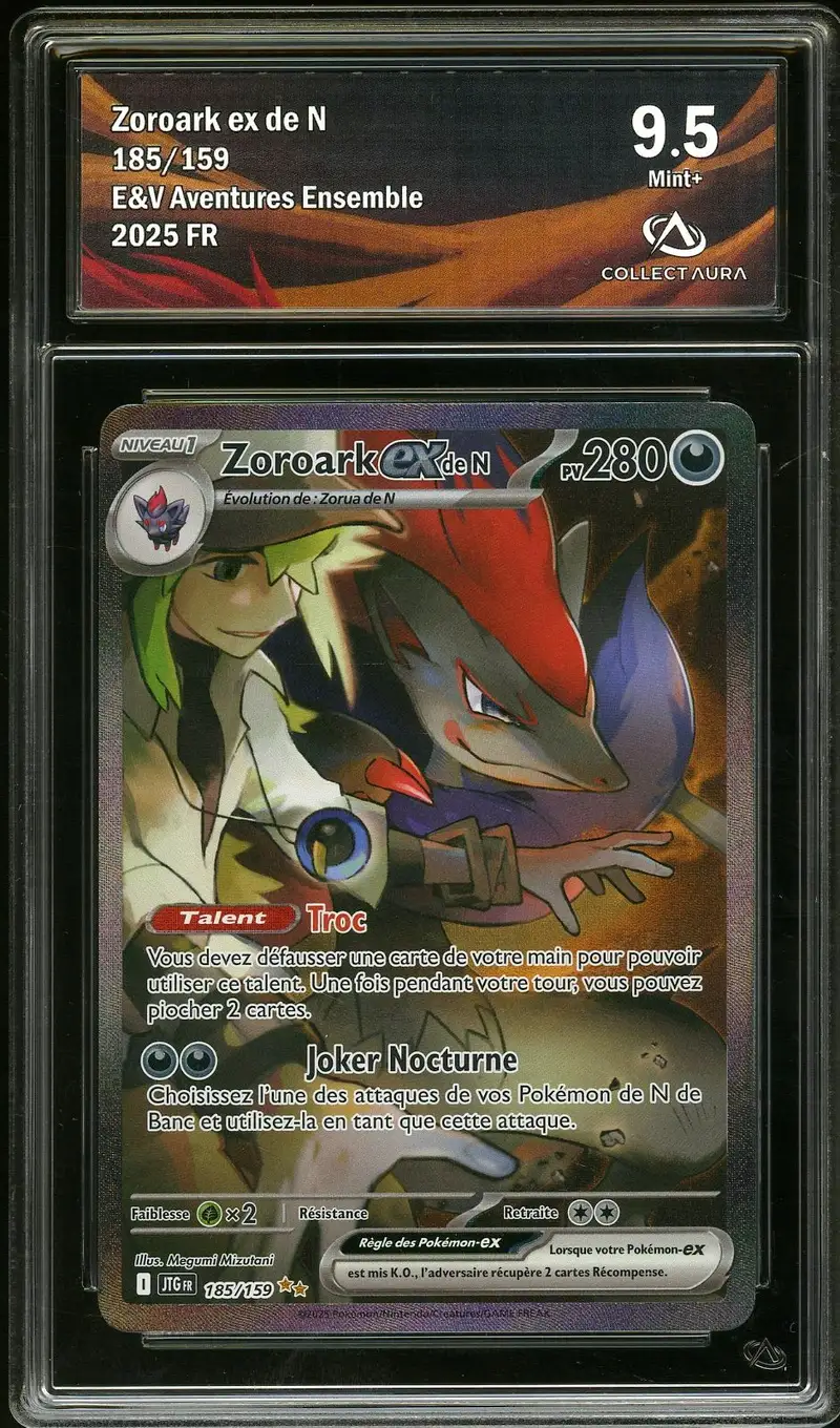 CA 9.5 Zoroark Ex de N
