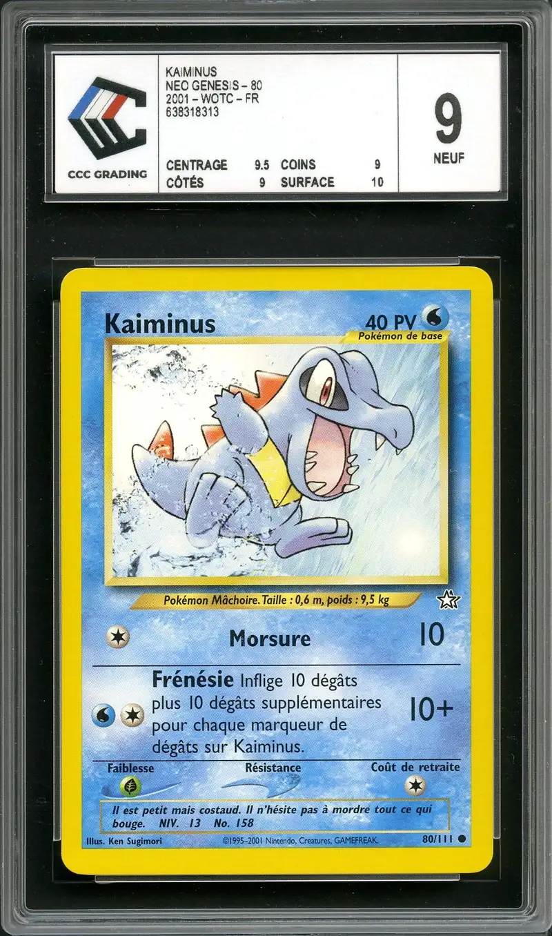 CCC 9 Kaiminus